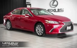 Used 2019 Lexus ES 350