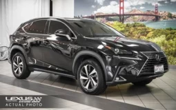 Used 2020 Lexus NX 300h