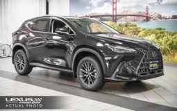 New Lexus NX 250