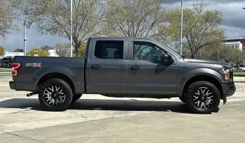 
										Used 2019 Ford F150 full									