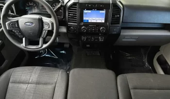 
										Used 2019 Ford F150 full									