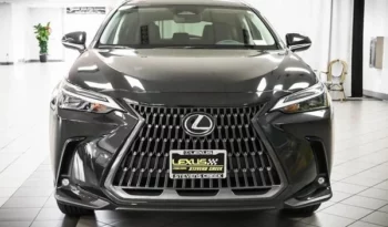 
										New Lexus NX 250 full									