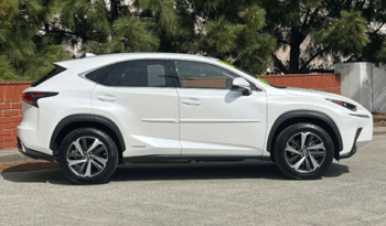 
										Used 2019 Lexus NX 300h full									