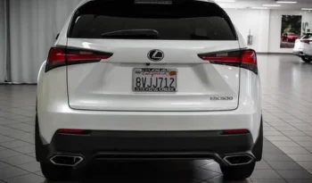 
										Used 2021 Lexus NX 300 full									