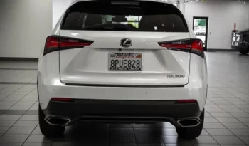 
										Used 2020 Lexus NX 300 full									