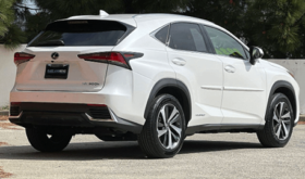 Used 2019 Lexus NX 300h