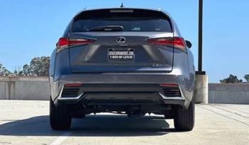 
										Used 2019 Lexus NX 350 full									