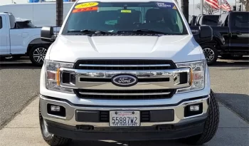 
										Used 2020 Ford F150 full									