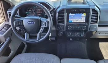 
										Used 2019 Ford F150 full									