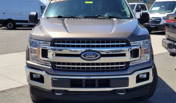 
										Used 2019 Ford F150 full									