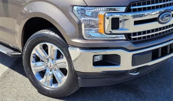 
										Used 2019 Ford F150 full									